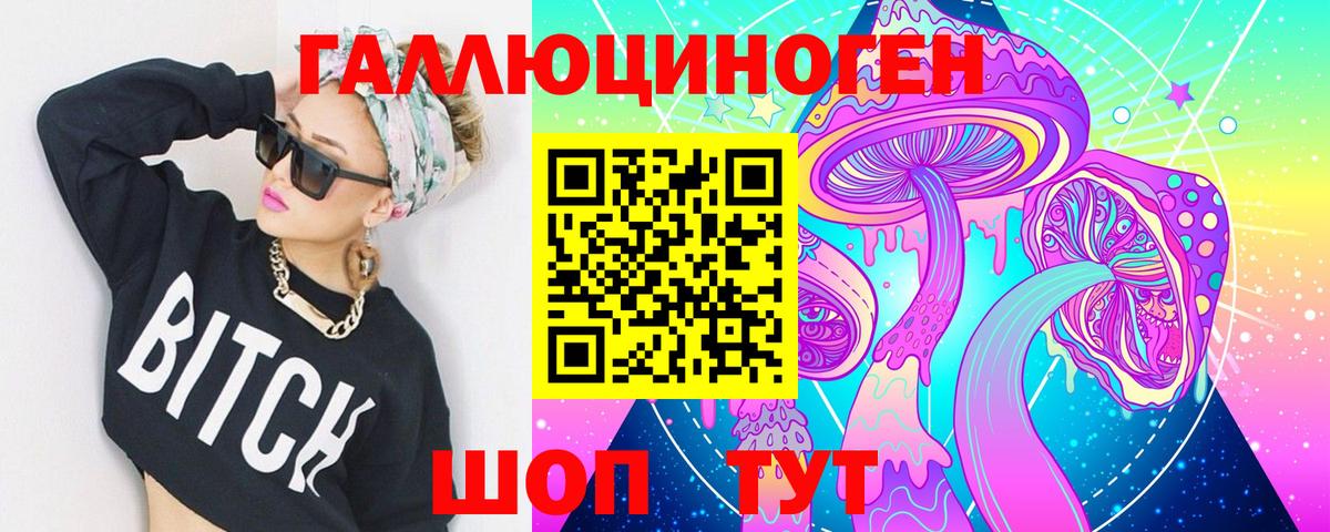 Галлюциногенные грибы Psilocybine cubensis Звенигород